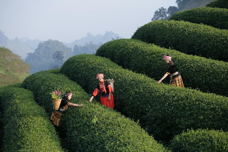 Nature Photography Tours