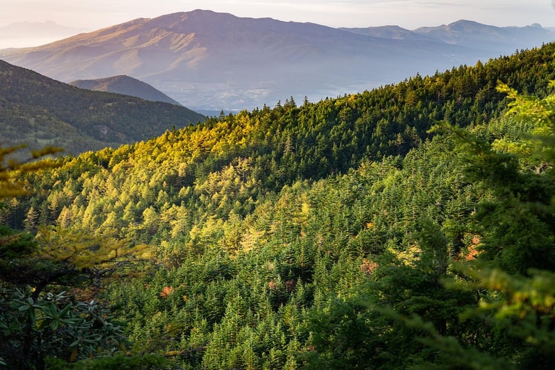 Mountains Landscape